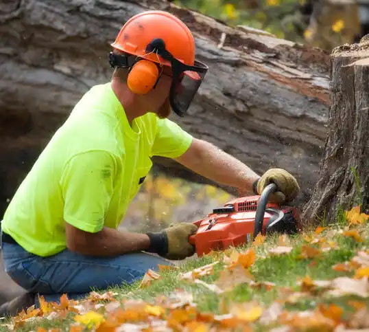 tree services North Adams